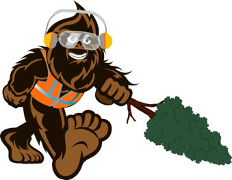 Land Clearing & Management Services in Rock Hill, SC | Bigfoot Forestry