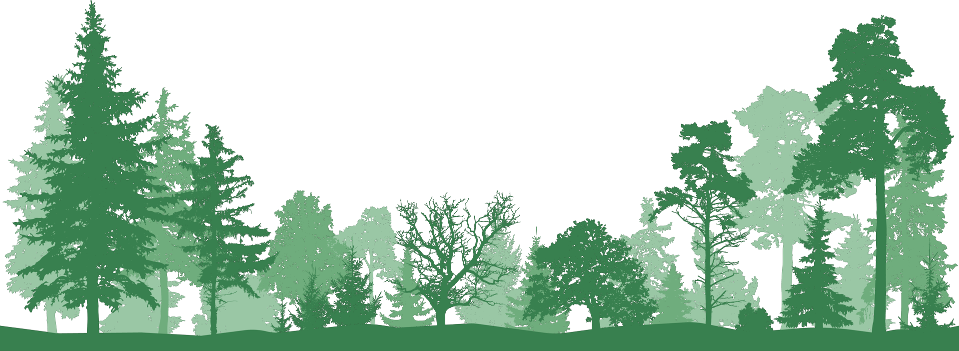 forest-skyline-bg (1)