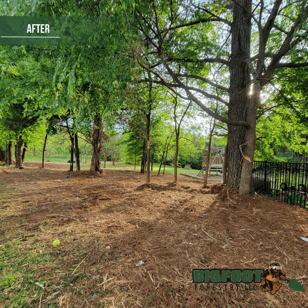 Featured image for post: Does Forestry Mulching Enhance Property Value?