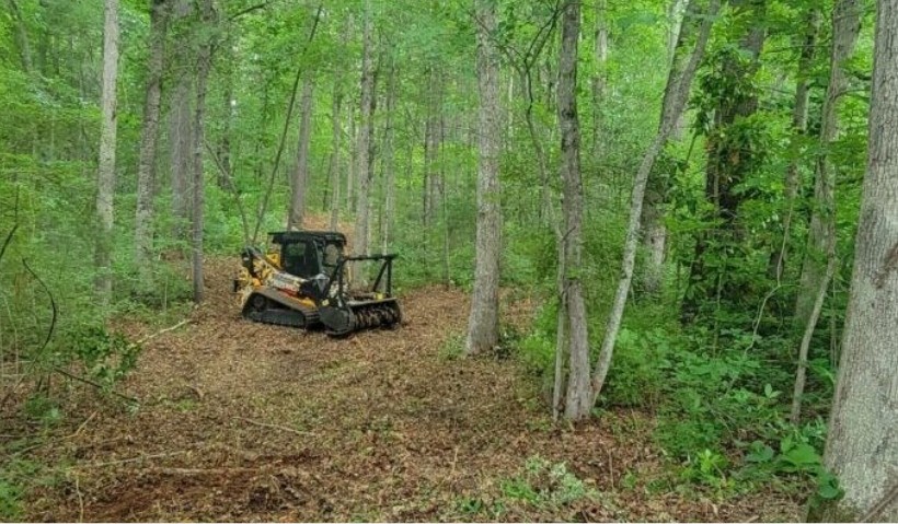 row FORESTRY MULCHING BRUSH REMOVAL