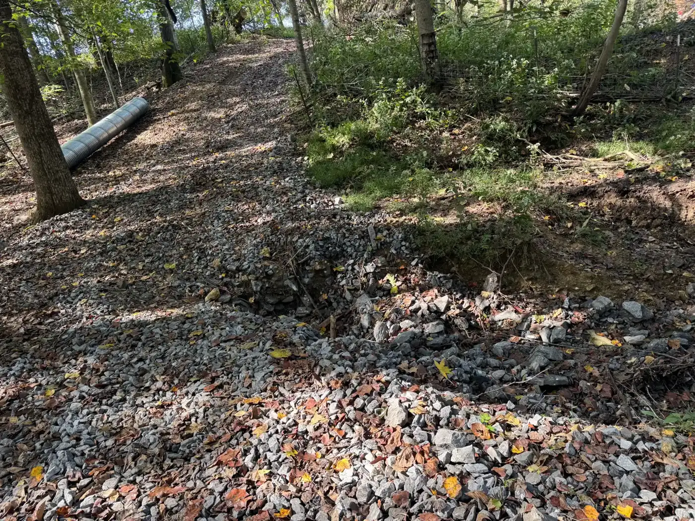 Before – washed-out woods road