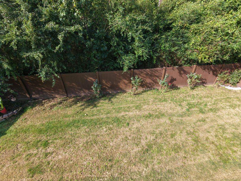 Before forestry mulching: thick brush and trees crowding right up against a backyard privacy fence