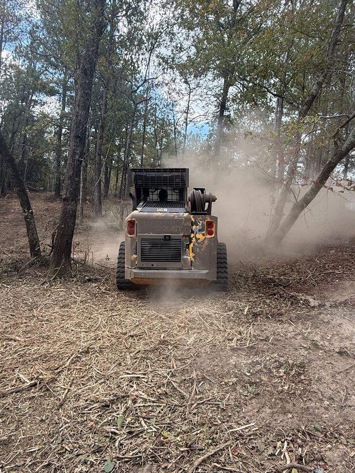 Forestry mulcher clearing brush between standing trees while keeping the larger trees in place