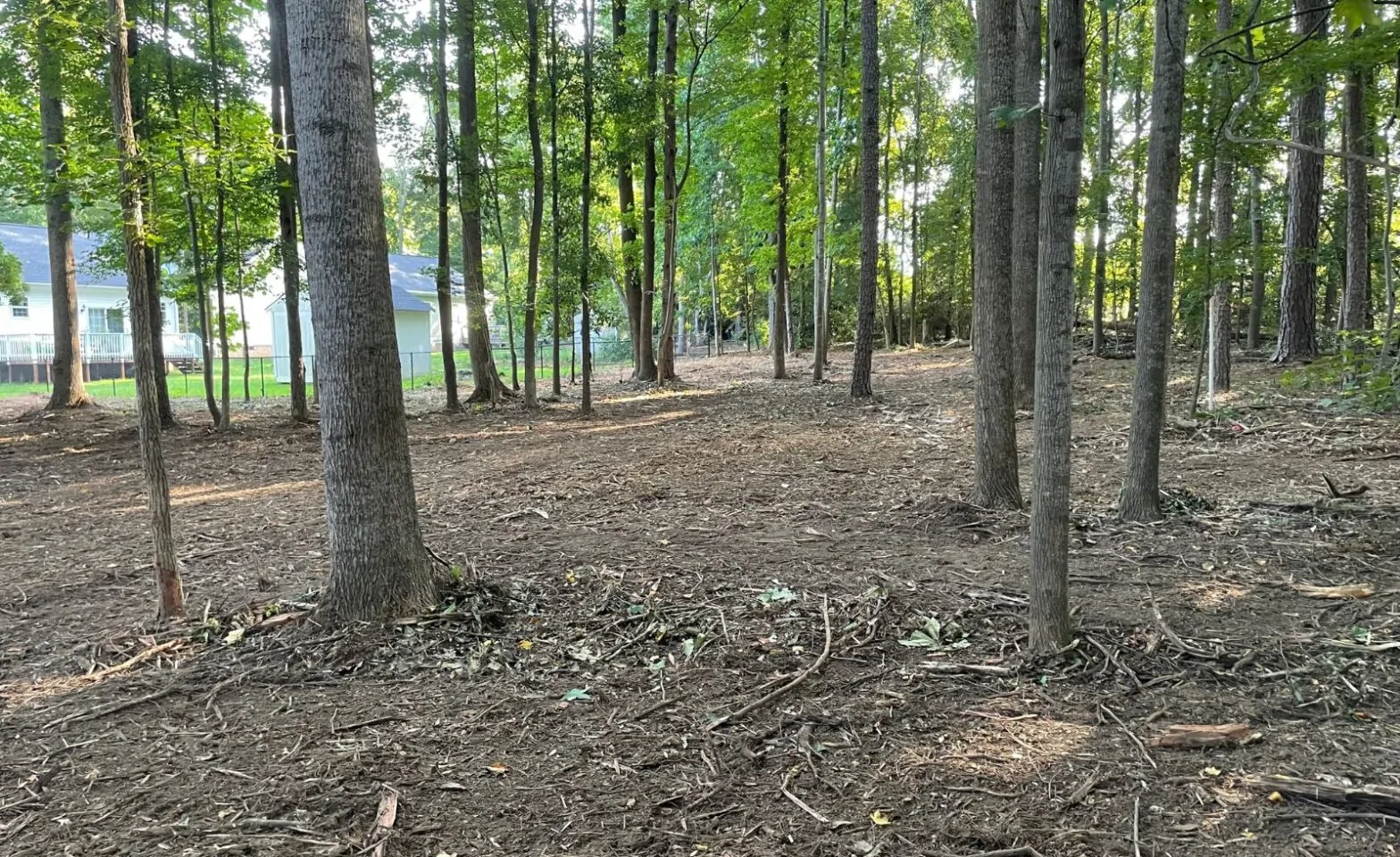 Featured image for post: How to Clear Overgrown Land With Forestry Mulching