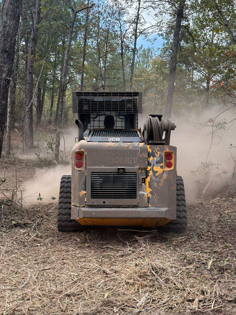 Bigfoot Forestry tracked mulcher working through brush and saplings, leaving ground-up mulch behind
