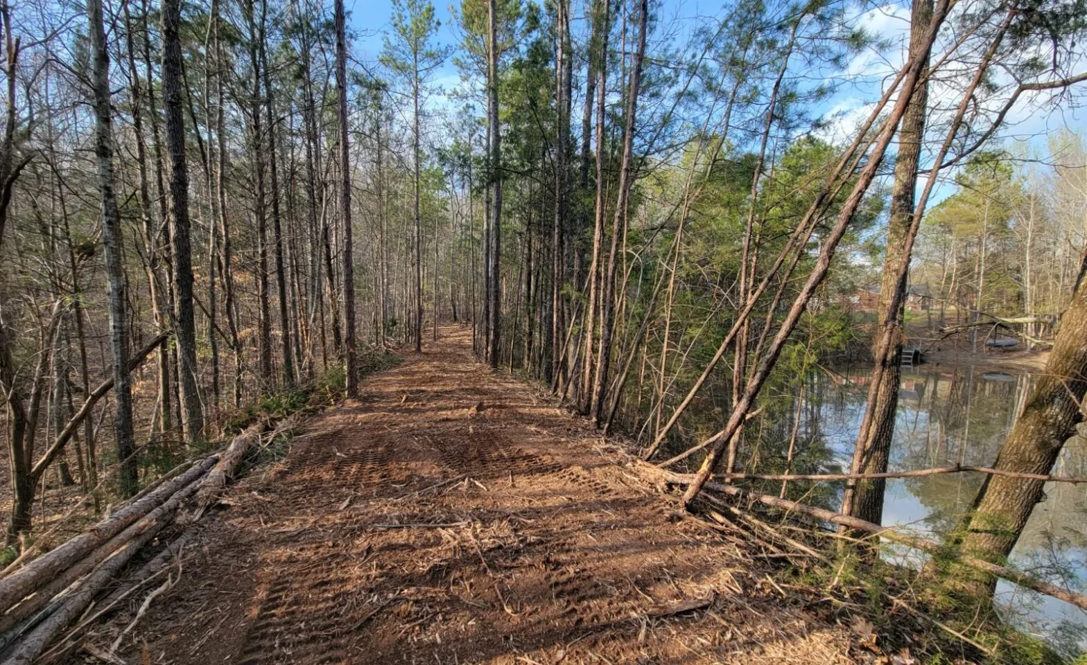 Featured image for post: Trail Building 101: How to Make a Backyard Walking Trail